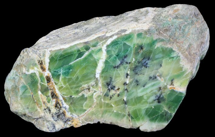 Polished Green-White Opal Slab - Western Australia #65404